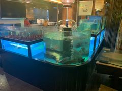 水产区-路小缦·珍馐美馔(市心北路店)