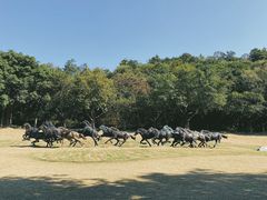 -广州雕塑公园