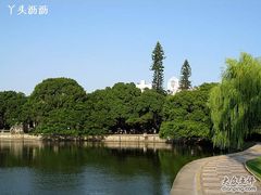 -南汇嘴观海公园