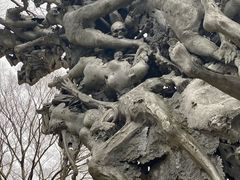 -雕刻之森美术馆