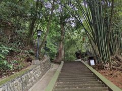 -乐山大佛风景名胜区乌尤寺南门-售票点