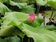 -千龙湖生态旅游度假区