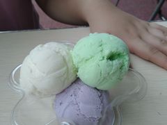 -成裕雪糕店(士多店)