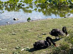 -长春市南湖公园