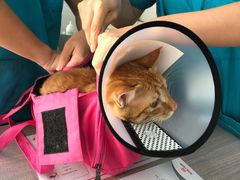 -荔康动物医院(康王北路店)