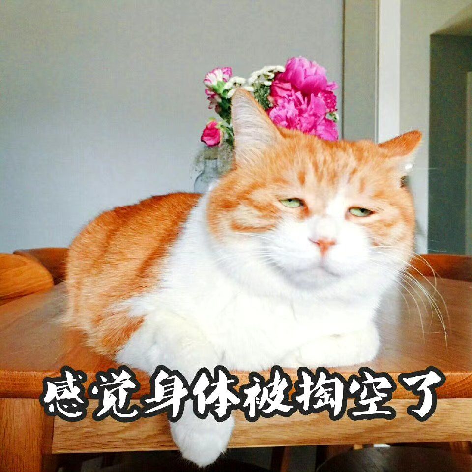 感觉身体被掏空