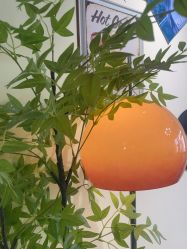 -变美丽半永久纹眉连锁·机器野生眉•洗眉