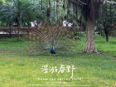 -广州动物园