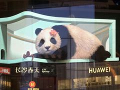 -稻香饭店(IFS国金中心店)