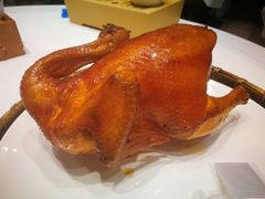 -稻香酒家·33年老字号·港式粤菜(富邦中心店)