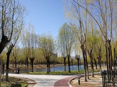 -中关村生命科学园