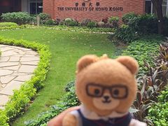 -香港大学