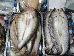 -新疆风味冷水鱼庄(友谊峰路店)