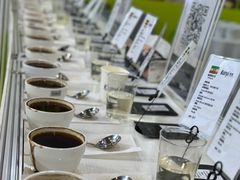 -成都世纪城新国际会展中心