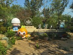 -上海长兴岛郊野公园