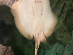 -珠海长隆海洋王国
