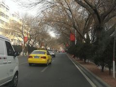 -穆豪麦蒸碗羊羔肉