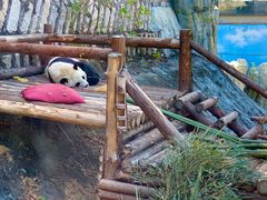 -泉州海丝野生动物世界