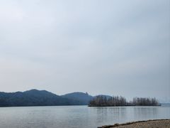 -东湖落雁景区