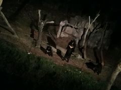 -清迈夜间动物园