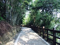 -广州市流溪河国家森林公园