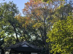-秋霞圃