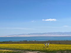 -青海湖国家重点风景名胜区