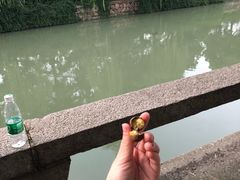 -阿男野栗王(金门路店)