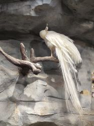 -Zoolung Zoolung动物主题公园(海信广场店)