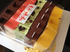 -维尔纳斯·生日蛋糕动物奶油冰淇淋蛋糕(人大店)