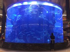 -OPEN開全日自助餐厅·牛肉火锅·海鲜(佛山希尔顿酒店)