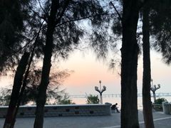 -宝安西湾红树林湿地公园