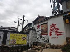 -蘑统田下·野生菌火锅