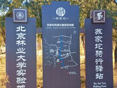 -北京鹫峰国家森林公园