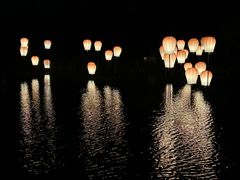 -长田漾湿地公园