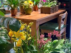 -谷咖啡·鲜花绿植花园餐厅