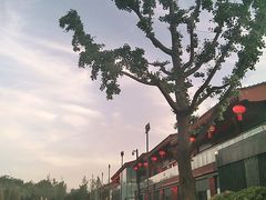 -大雁塔北广场音乐喷泉