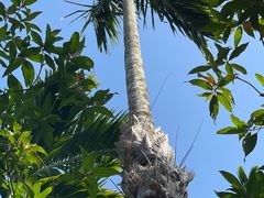 -七仙岭温泉国家森林公园