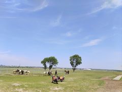 -苏泊罕大草原旅游景区