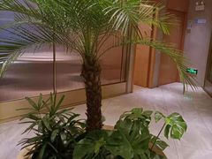 -阿杜打边炉(五江天街店)