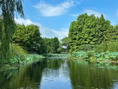 -溱湖国家湿地公园