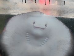 -鸿通城购物中心