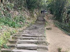 -缙云山景区