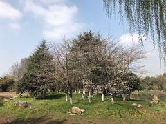 -堤角公园