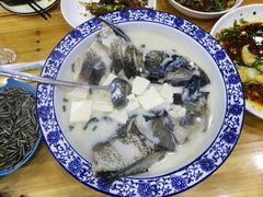 -全乐鱼馆·淳牌有机鱼直营店