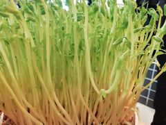 -好彩猪肚鸡(正弘城店)