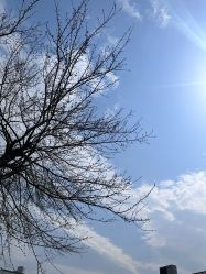 -太湖雪蚕桑文化园