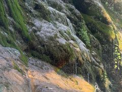 -华蓥山天意谷景区