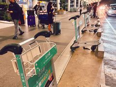 -厦门高崎国际机场-T3航站楼