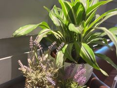 -港丽餐厅(领展购物广场·中关村店)